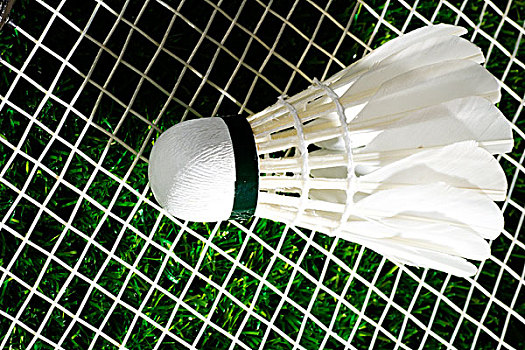 略与心理博 略与心理博