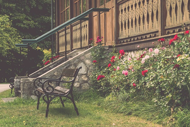 者的理想選 者的理想選